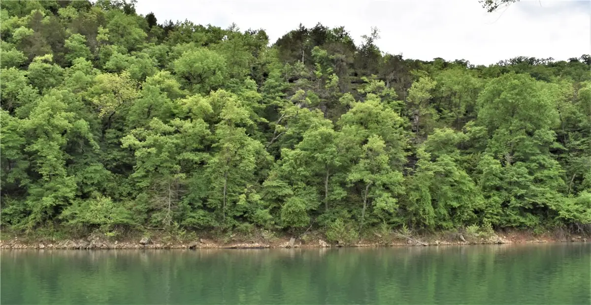 1217 Cr 231, Eureka Springs, AR 72631 - #1