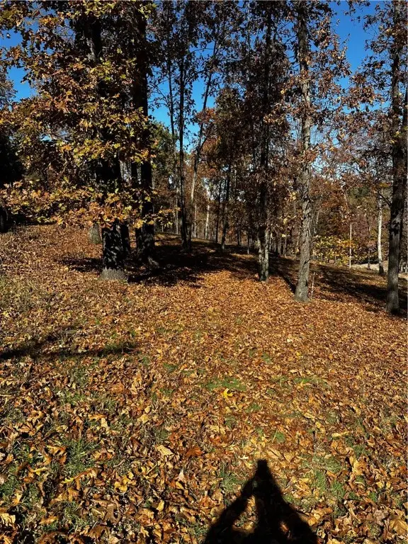 Lot 106 E Robin Road, Rogers, AR 72756 - #1