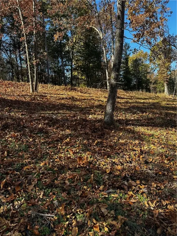 Lot 106 E Robin Road, Rogers, AR 72756 - #3