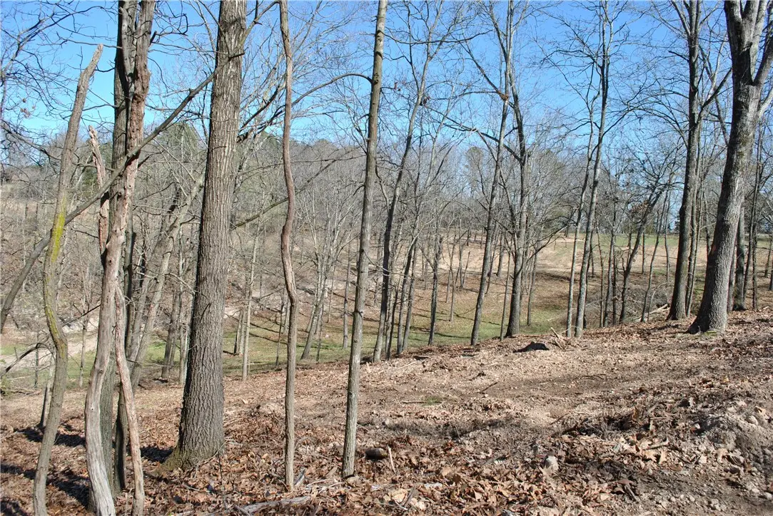 Lot 105 E Robin Road, Rogers, AR 72756 - #1