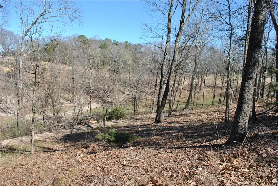 Lot 105 E Robin Road, Rogers, AR 72756 - #2