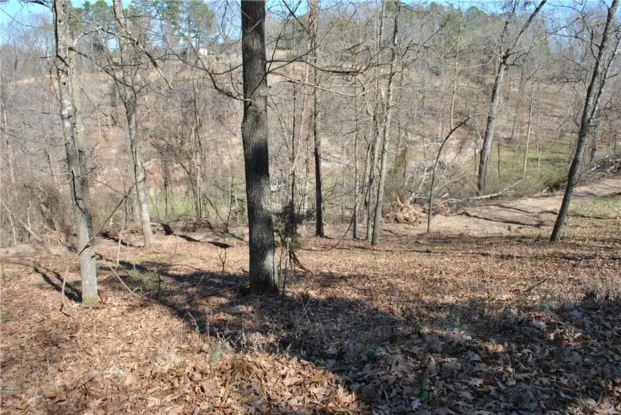 Lot 104 E Robin Road, Rogers, AR 72756 - #3