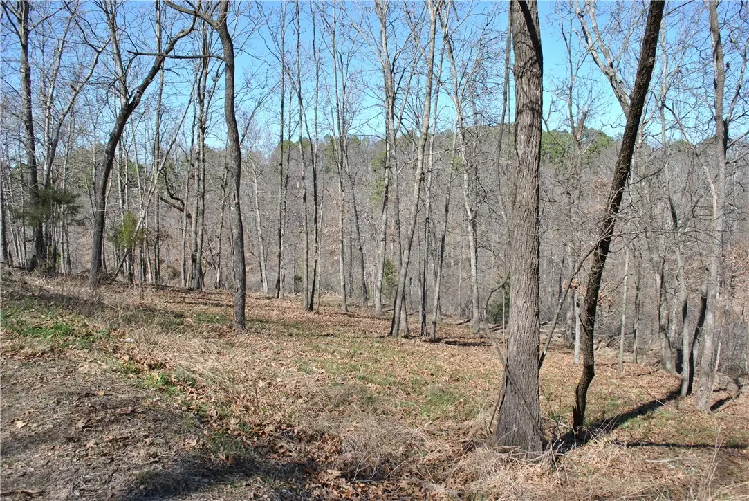 Lot 103A E Robin Road, Rogers, AR 72756 - #1