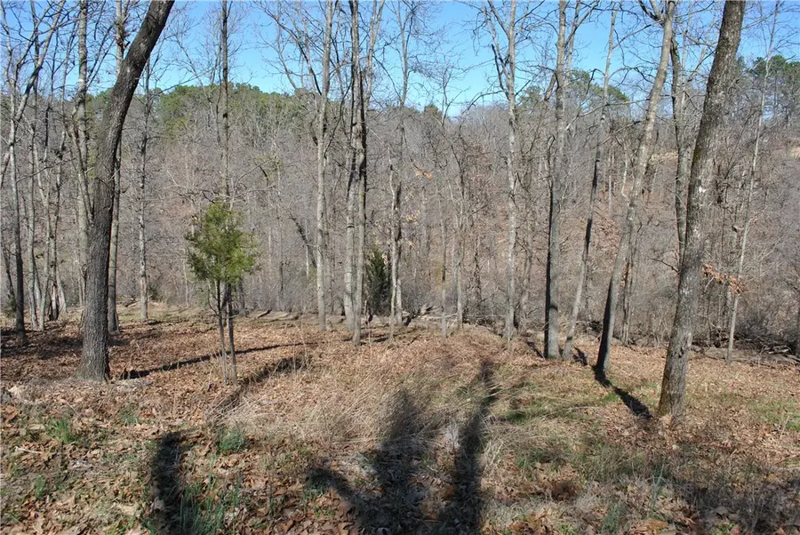 Lot 103A E Robin Road, Rogers, AR 72756 - #2