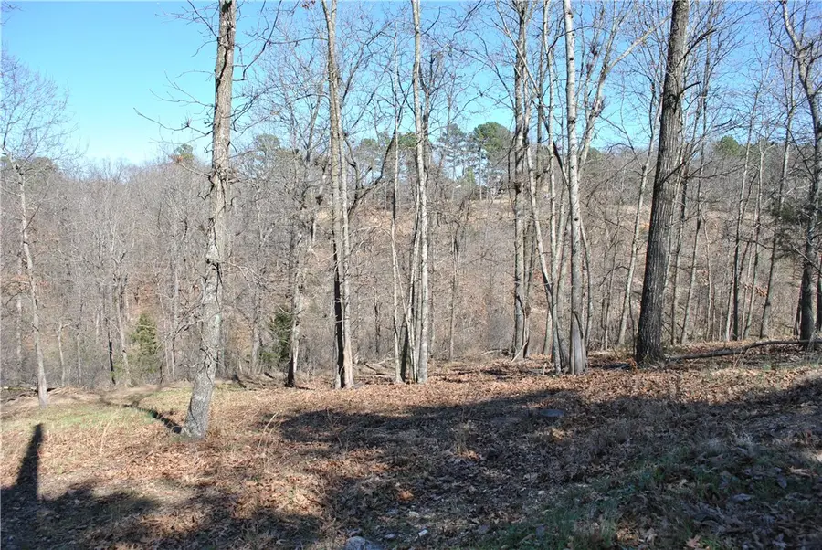 Lot 103A E Robin Road, Rogers, AR 72756 - #3