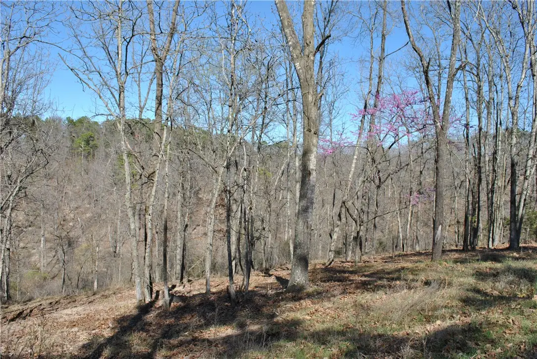 Lot 102A E Robin Road, Rogers, AR 72756 - #1