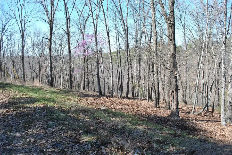 Lot 102A E Robin Road, Rogers, AR 72756 - #2