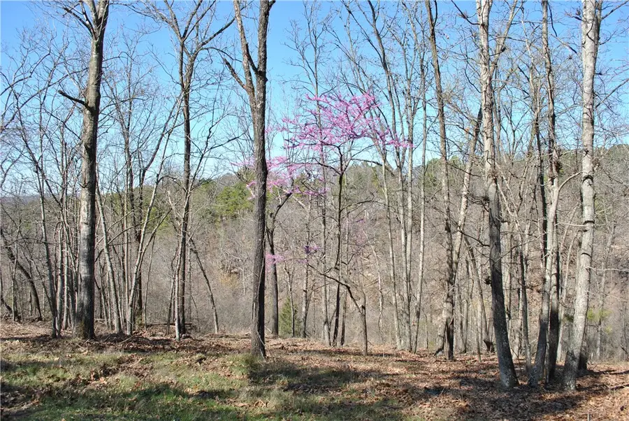 Lot 102A E Robin Road, Rogers, AR 72756 - #3