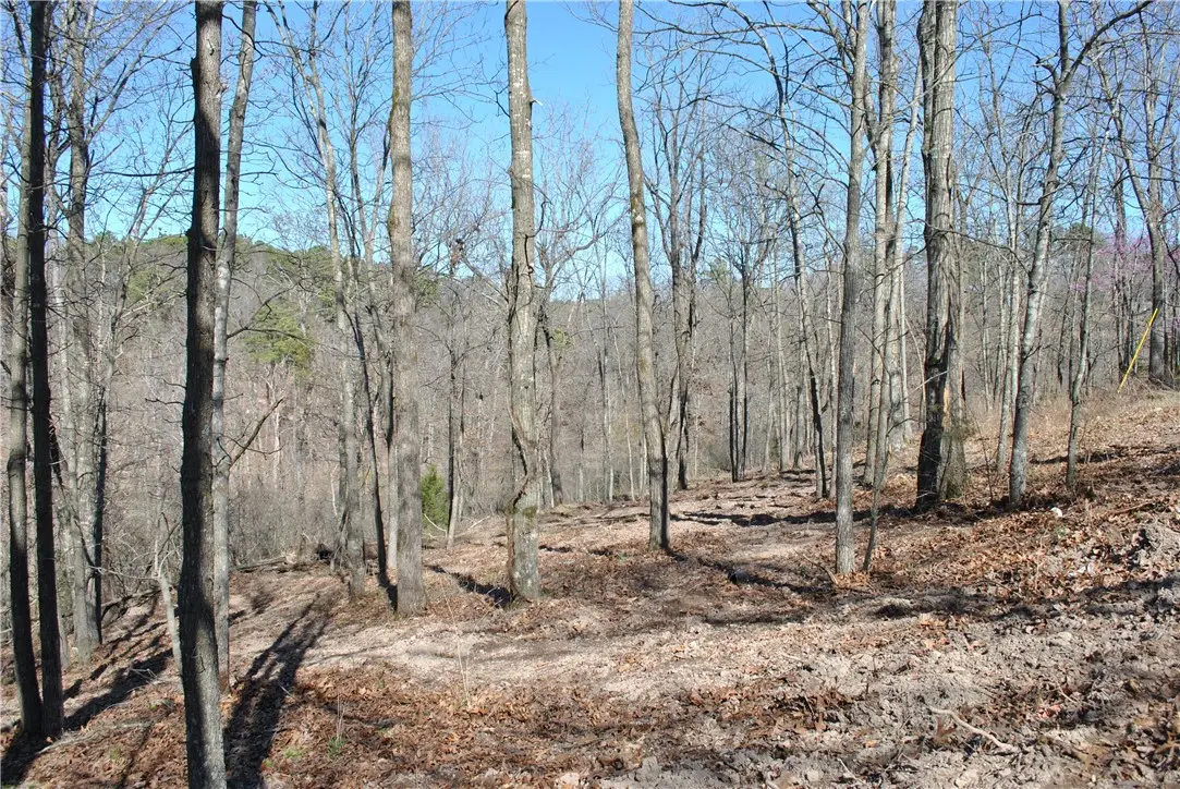 Lot 101 E Robin Road, Rogers, AR 72756 - #1