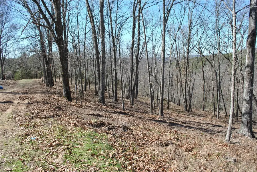 Lot 101 E Robin Road, Rogers, AR 72756 - #2