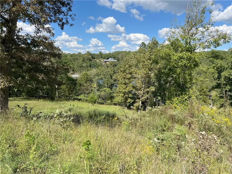 000 Ledge Rock Lane #Lot 4, Omaha, AR 72662 - #3