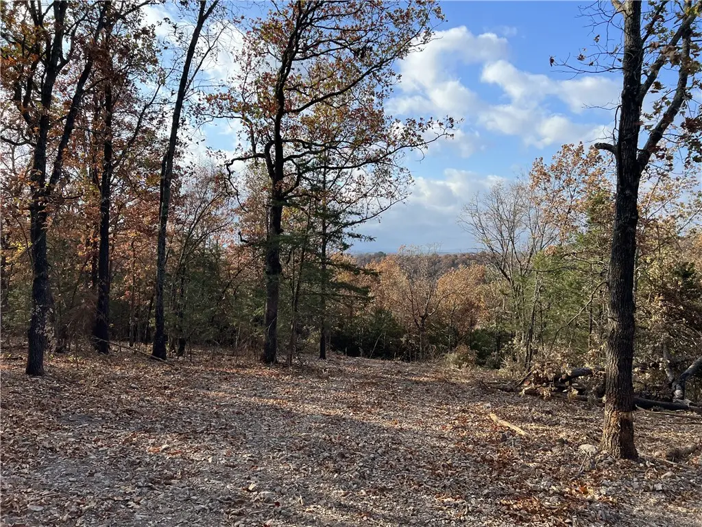 10.14 AC Jackson Ridge, Omaha, AR 72662 - #1