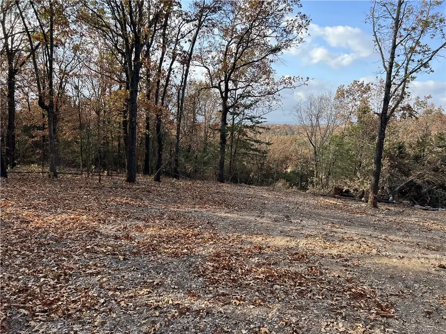 10.14 AC Jackson Ridge, Omaha, AR 72662 - #2