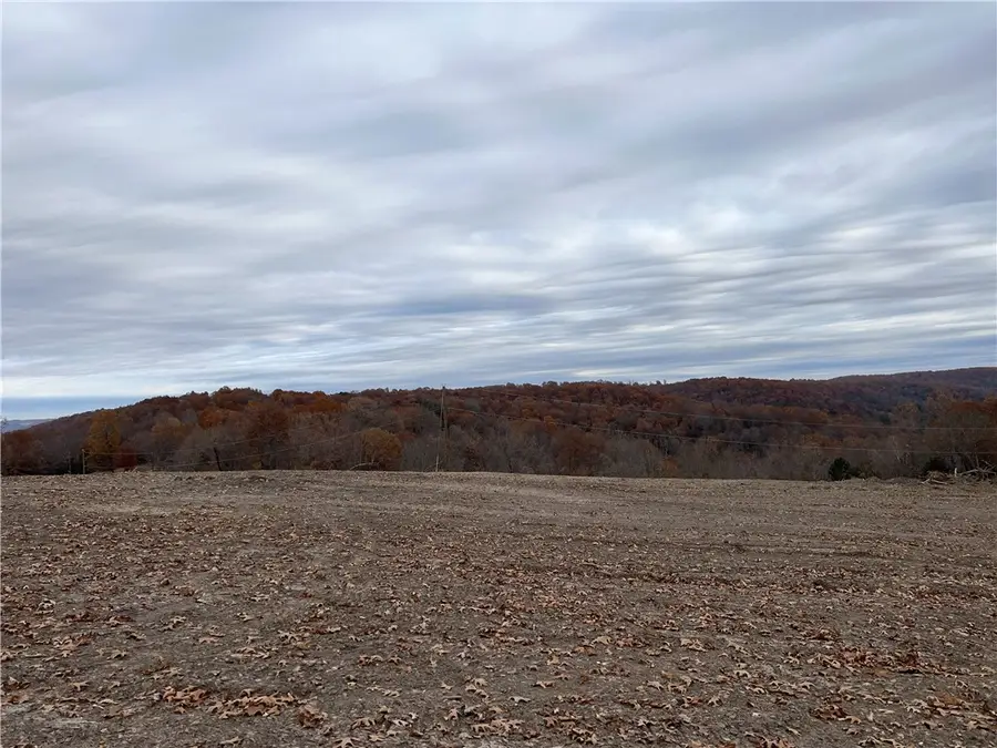 37.64 AC Dubuque Road, Omaha, AR 72662 - #2