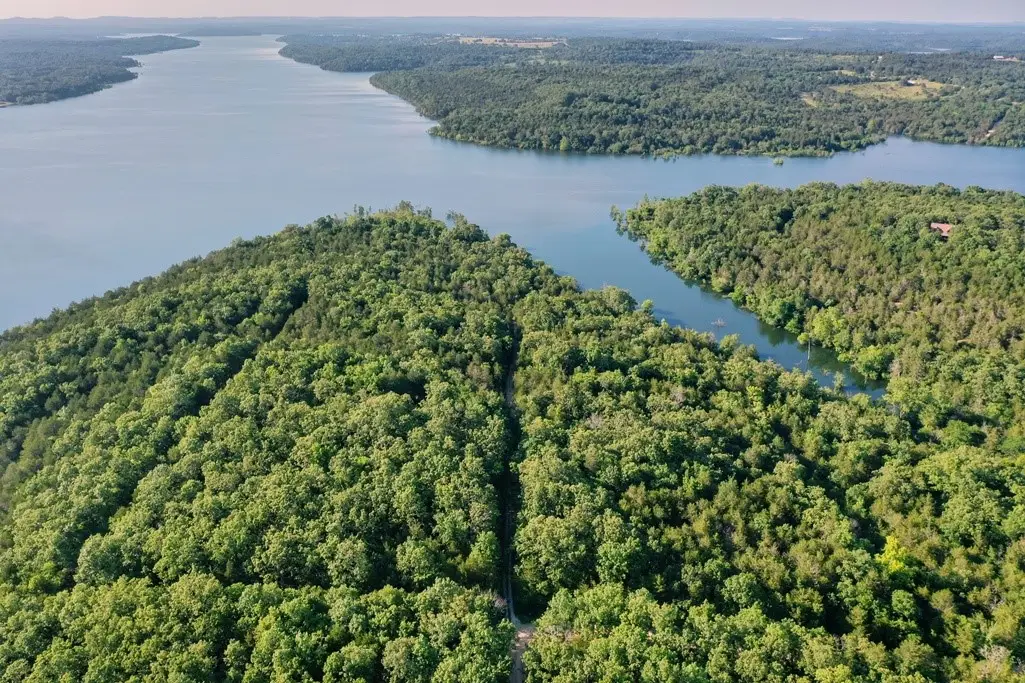 Mc 2034, Lead Hill, AR 72644 - #1