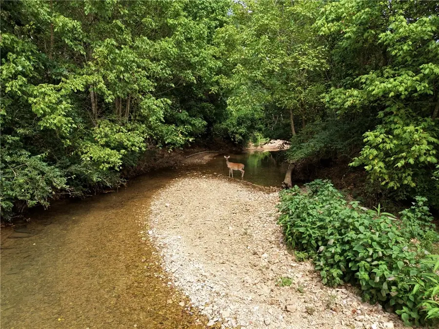 Lot 2 Puppy Creek Road #15.34 AC, Lowell, AR 72745 - #3