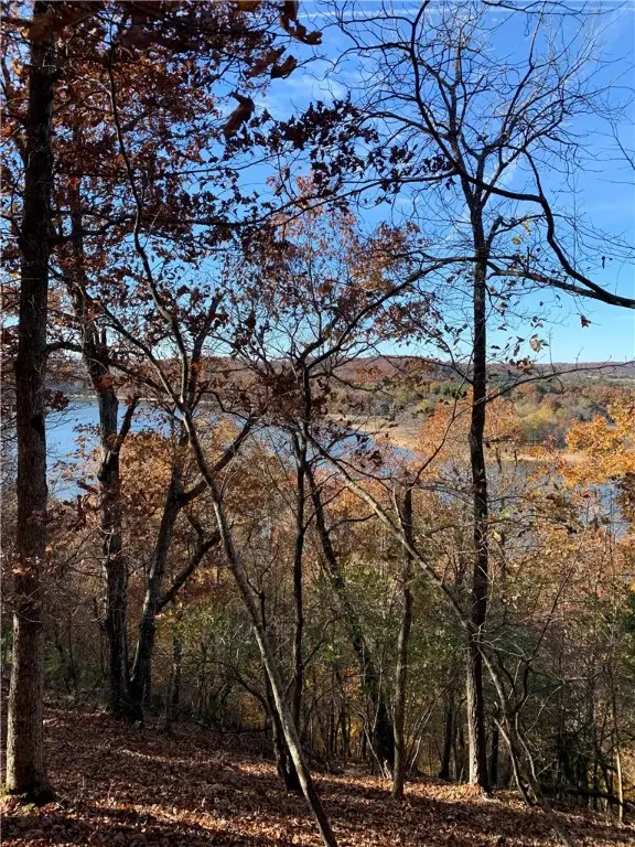 4.32 AC Barzel Point Road, Rogers, AR 72756 - #1