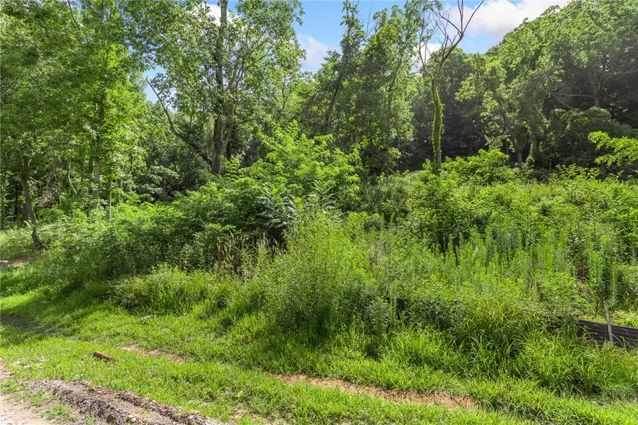 Lot 3 Significance Summit, Harrison, AR 72601 - #3