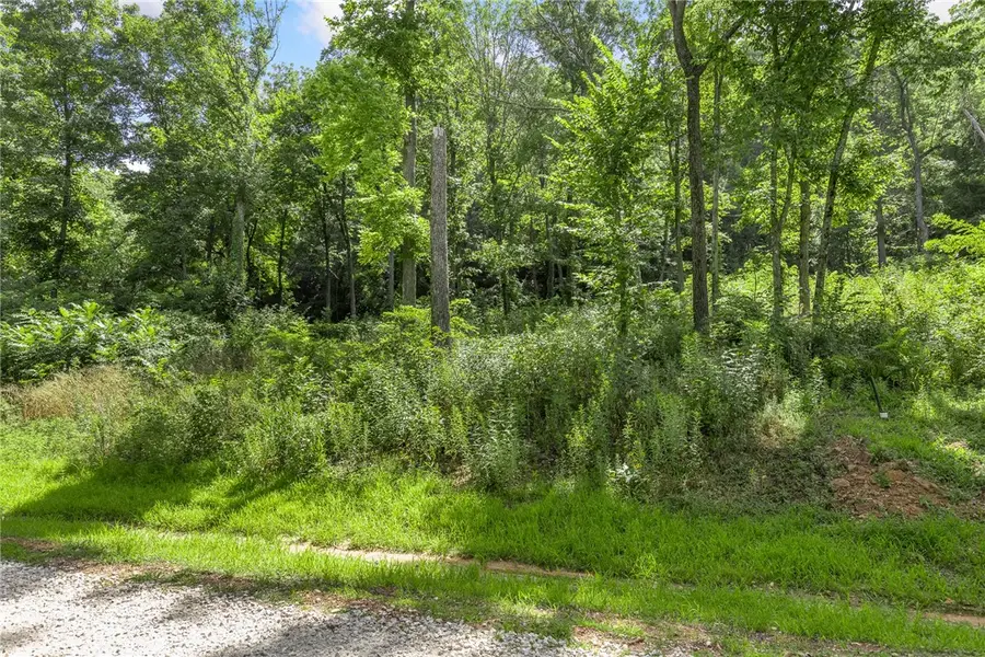 Lot 4 Significance Summit, Harrison, AR 72601 - #3