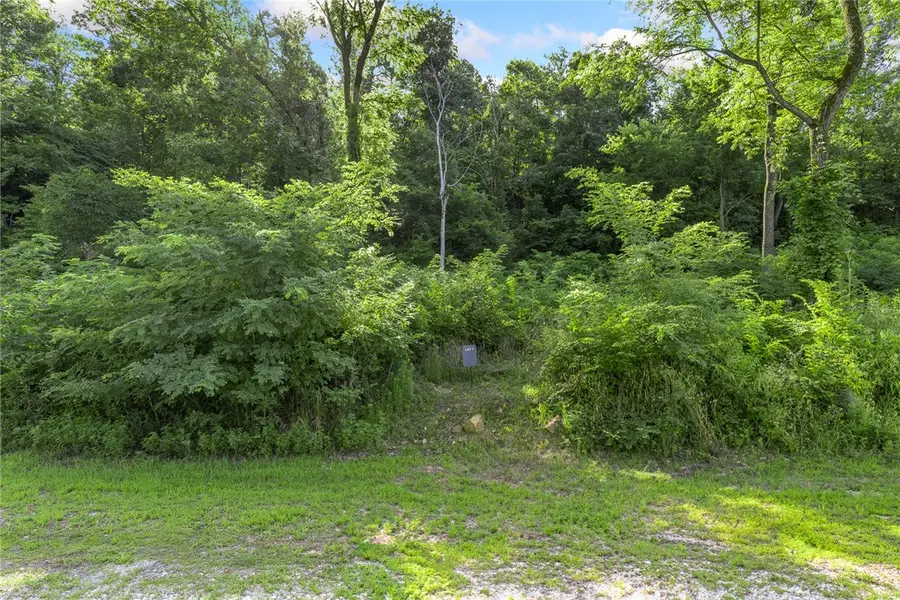 Lot 7 Peaceful Place, Harrison, AR 72601 - #2