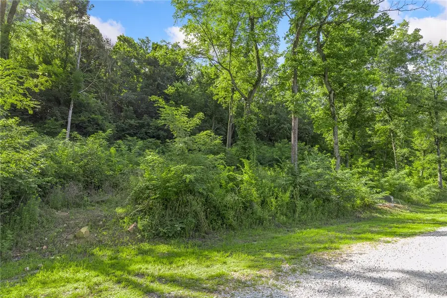 Lot 7 Peaceful Place, Harrison, AR 72601 - #3