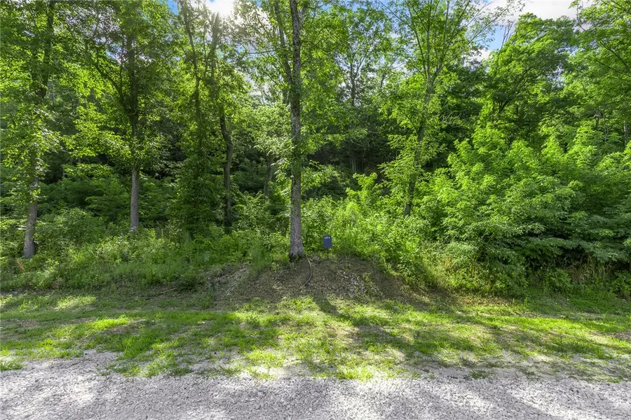 Lot 8 Peaceful Place, Harrison, AR 72601 - #2