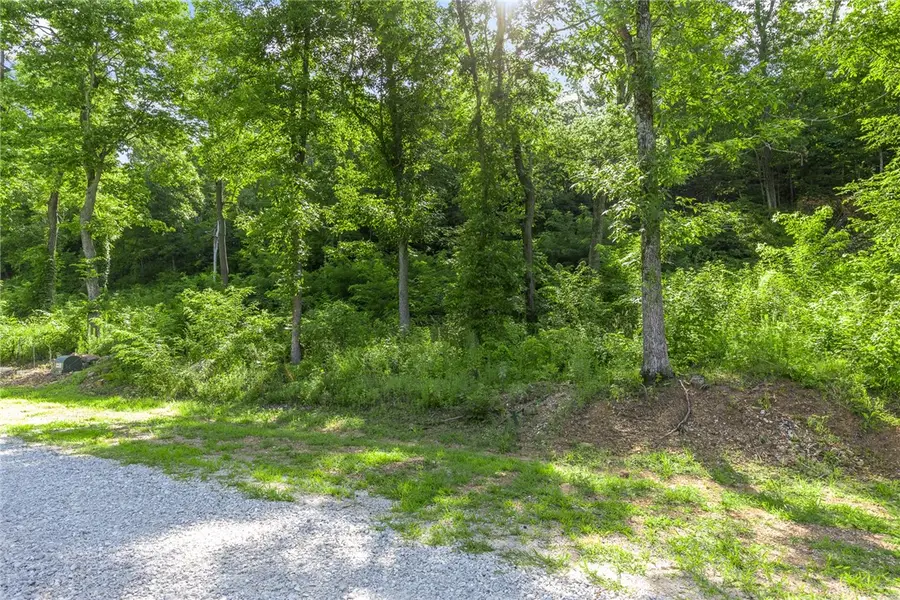 Lot 8 Peaceful Place, Harrison, AR 72601 - #3
