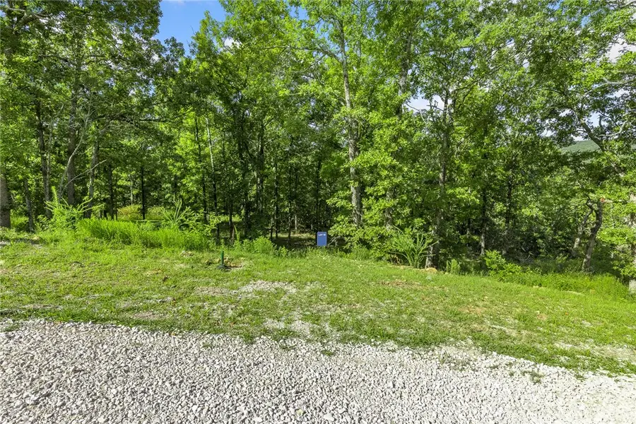 Lot 19 Restore Ridge, Harrison, AR 72601 - #2