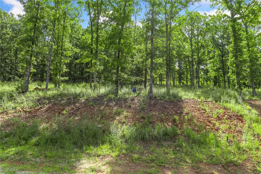 Lot 23 Restore Ridge, Harrison, AR 72601 - #2