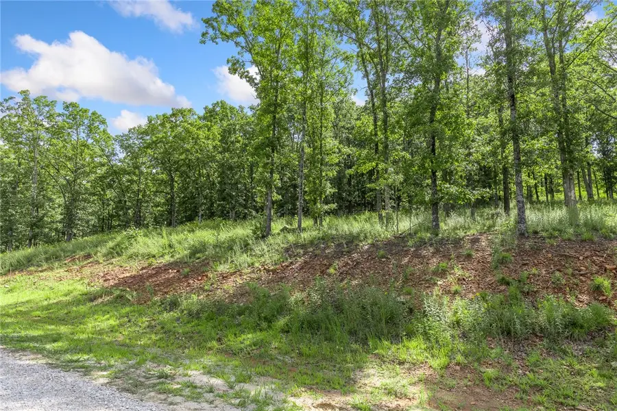 Lot 23 Restore Ridge, Harrison, AR 72601 - #3