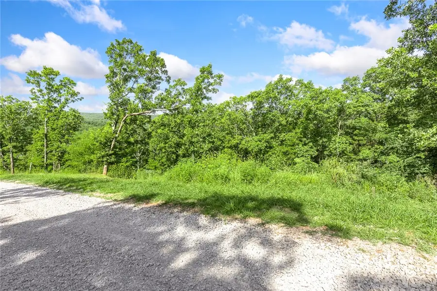 Lot 24 Peaceful Place, Harrison, AR 72601 - #3