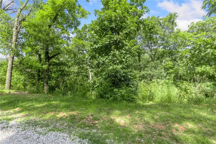 Lot 26 Peaceful Place, Harrison, AR 72601 - #3