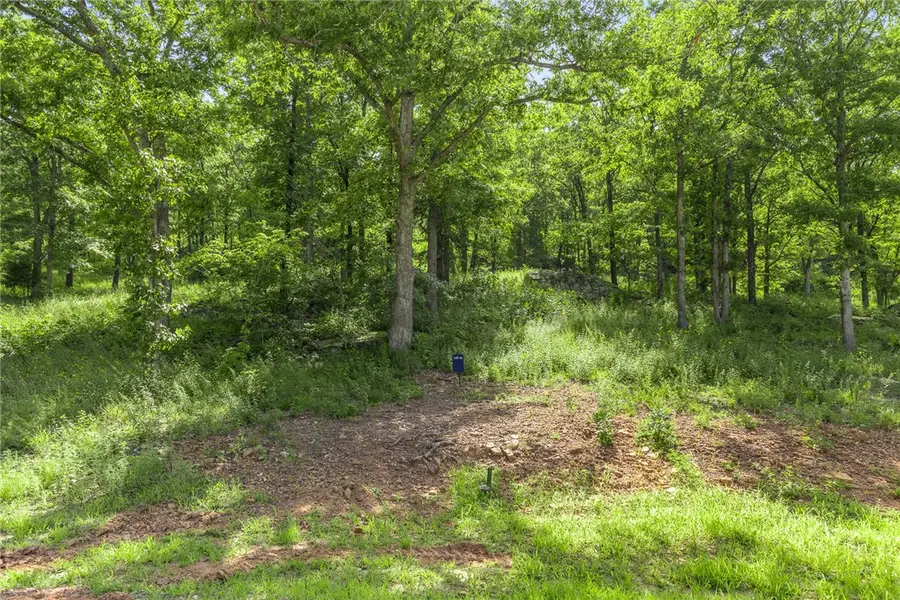 Lot 61 Restore Ridge, Harrison, AR 72601 - #2