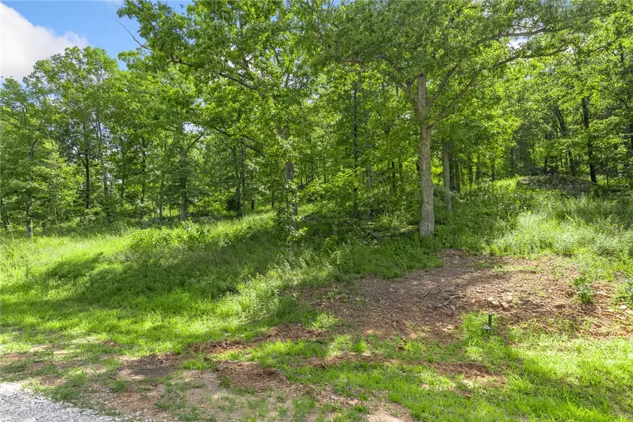 Lot 61 Restore Ridge, Harrison, AR 72601 - #3
