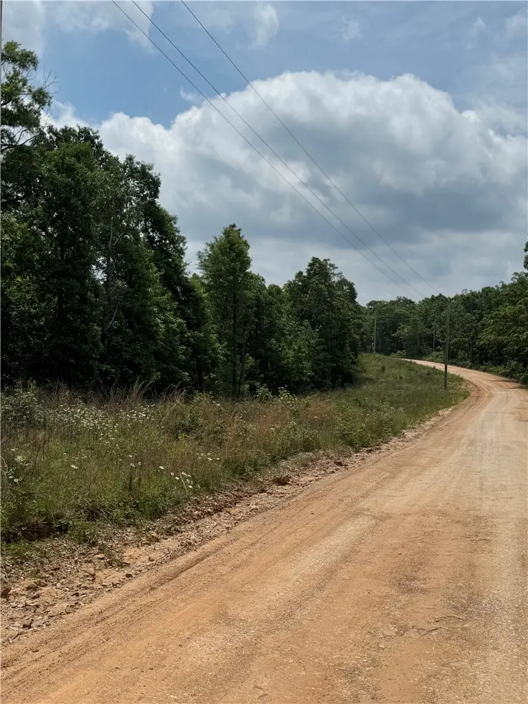TBD Plumlee Road, Compton, AR 72624 - #1