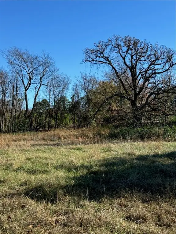 E Trough Spring Road, Fayetteville, AR 72703 - #3