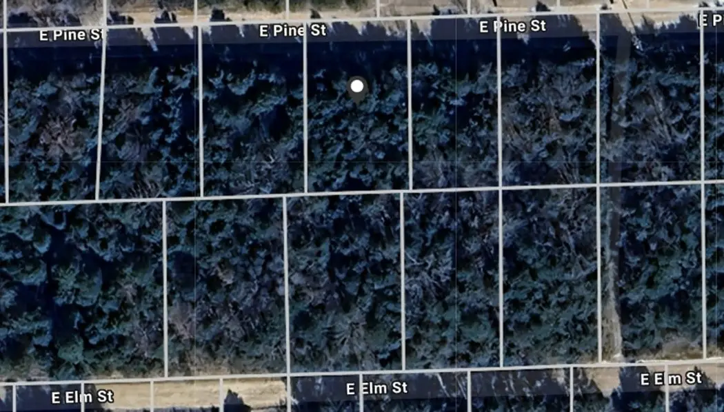 Pine Street, Lead Hill, AR 72644 - #1