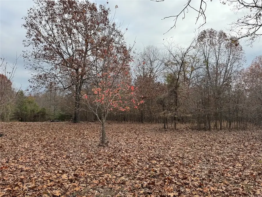 Wc1127 Primrose Lane, Fayetteville, AR 72704 - #2