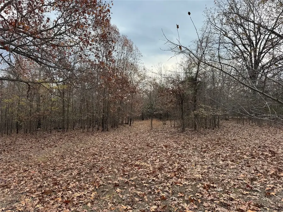 Wc1127 Primrose Lane, Fayetteville, AR 72704 - #3