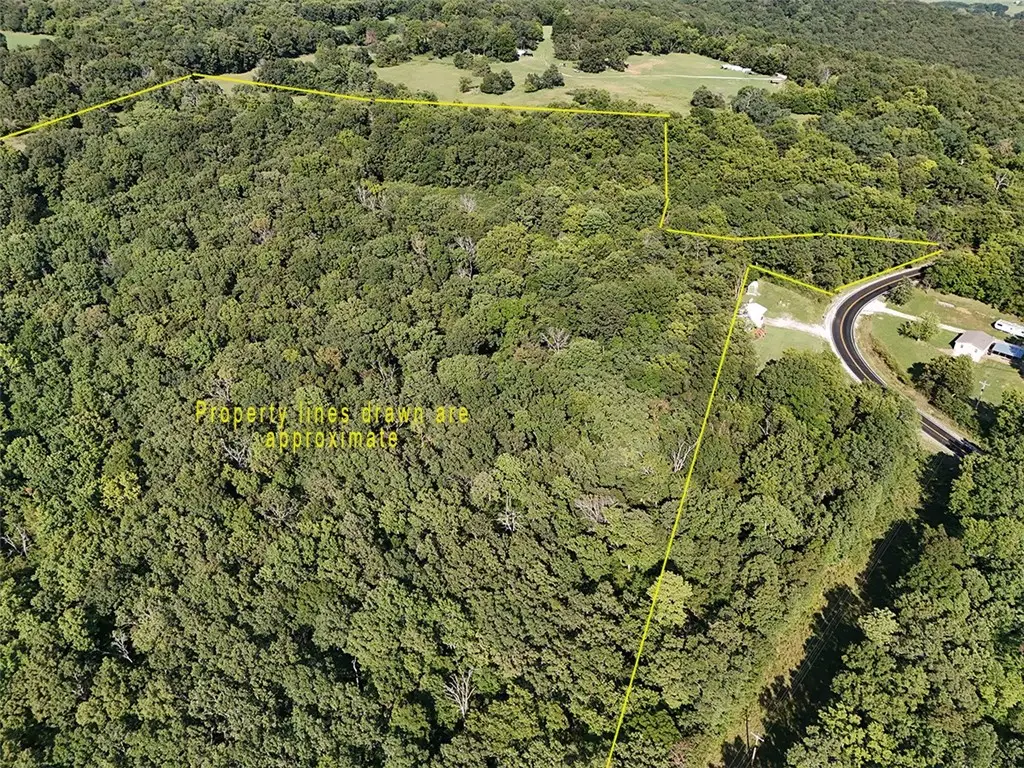 51.39 AC E Black Oak Road, Fayetteville, AR 72701 - #1