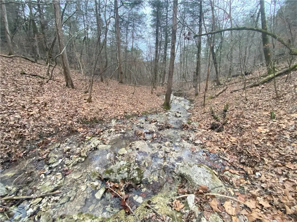 Nc 2900, Jasper, AR 72641 - #1