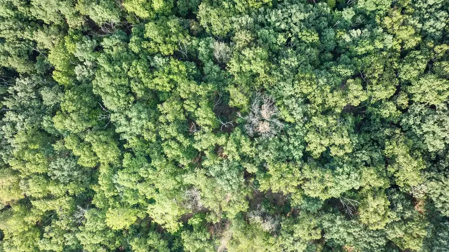 Lot 15 Block 2 Stilton Lane, Bella Vista, AR 72714 - #2