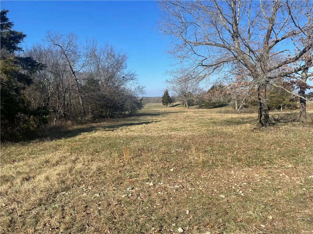 2 Madison 8630, Huntsville, AR 72740 - #1