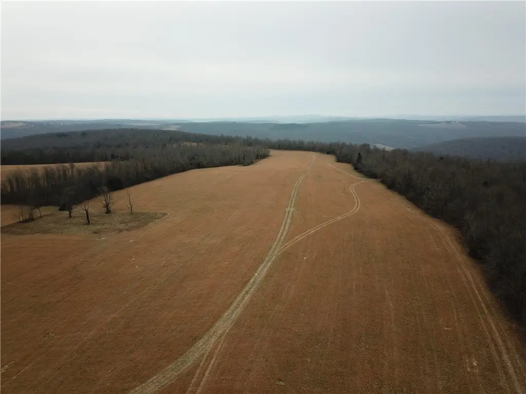 Liberty Road, Leslie, AR 72645 - #1