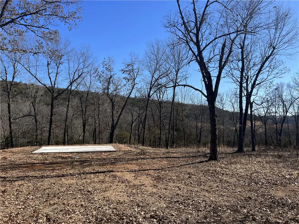 2216 Meadow Creek Drive, Harrison, AR 72601 - #1