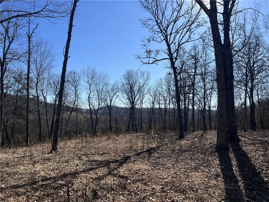 2216 Meadow Creek Drive, Harrison, AR 72601 - #2