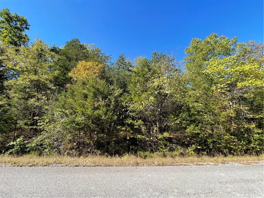 63 Eagle Drive, Holiday Island, AR 72631 - #2