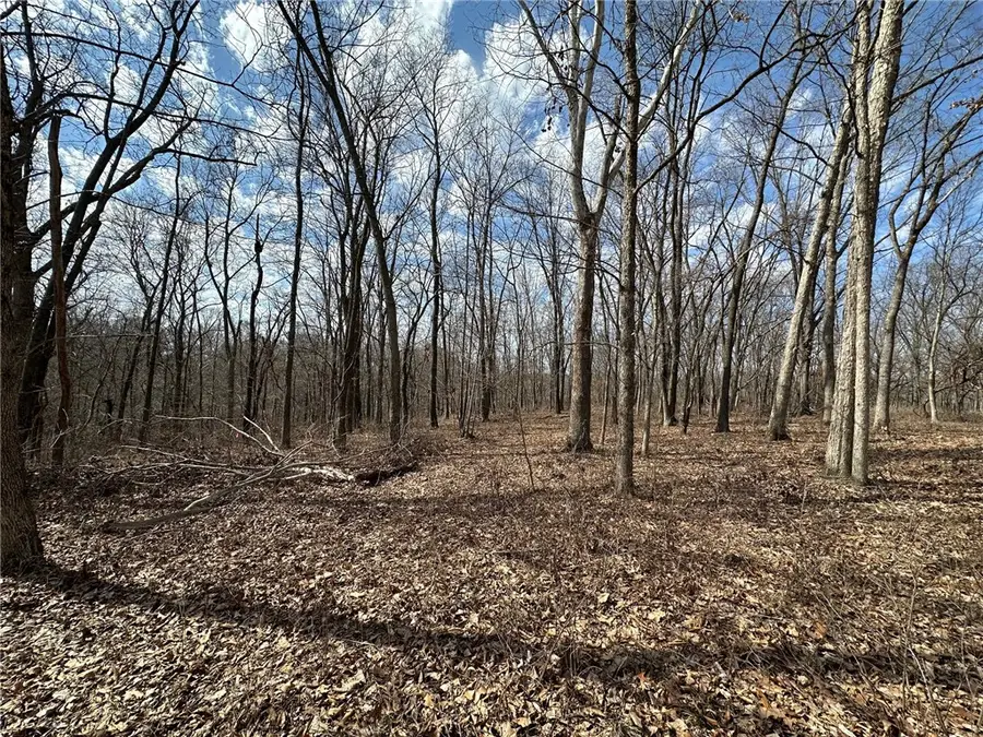 Lot 3 - 2.74 acres NW Deer Run Avenue, Bentonville, AR 72712 - #3