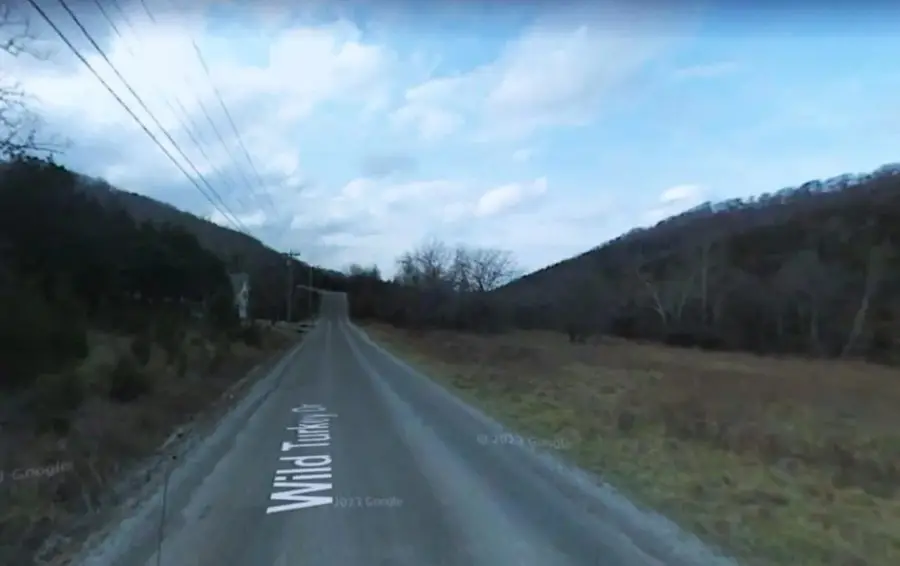Lot 14 Wild Turkey Drive, Holiday Island, AR 72631 - #3