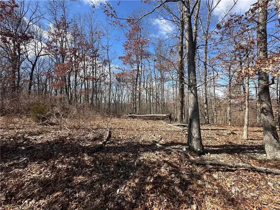 1548 County Road 731, Berryville, AR 72616 - #2